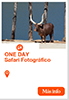 OneDay Safari Fotográfico