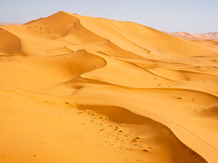 850 JesusBotaro desierto serpentin-_8131436