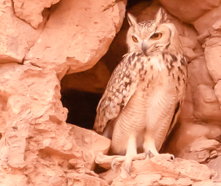 click para confirmar