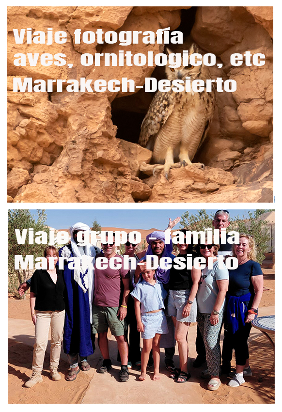 850 desierto 02 2026 copia