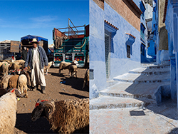 Viaje fotográfico Zoco Oued Laou – Chefchaouen 9-12 octubre 2026