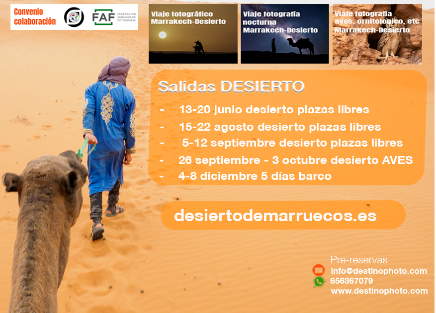 2026 desierto fechas