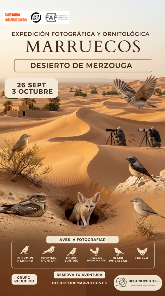 Marruecos(4)