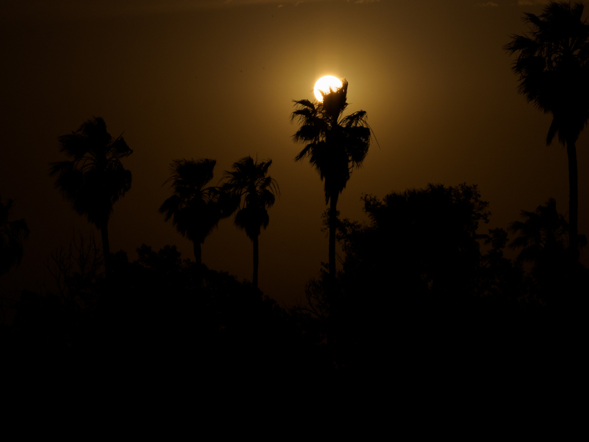 marrakech-_5280214