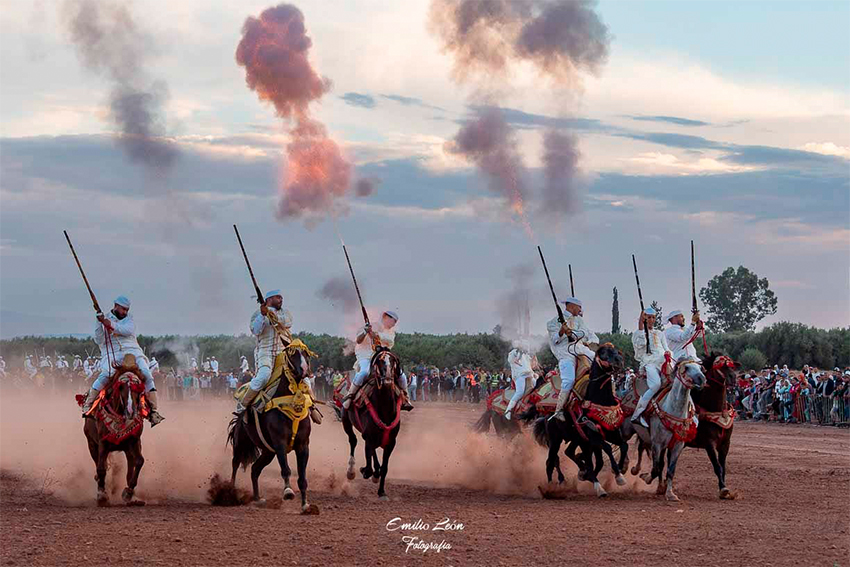 Jinetes marroquíes durante una exhibición de Tbourida con caballos al galope y descarga de pólvora.