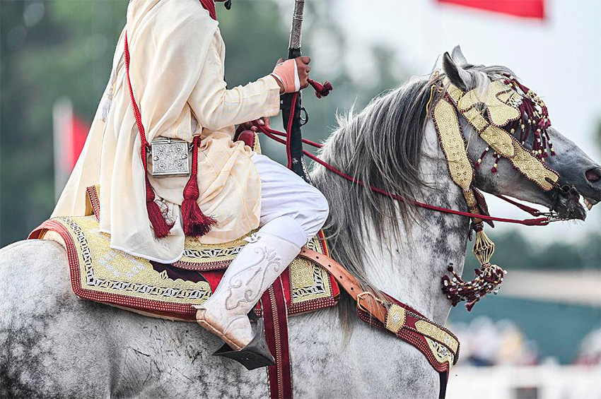 Jinetes marroquíes durante una exhibición de Tbourida con caballos al galope y descarga de pólvora.